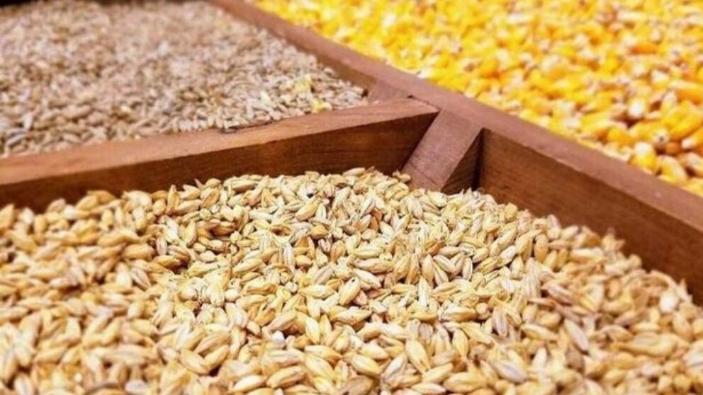 Imri livestock inputs, buying and selling bran, straw, wheat and barley in Golestan
