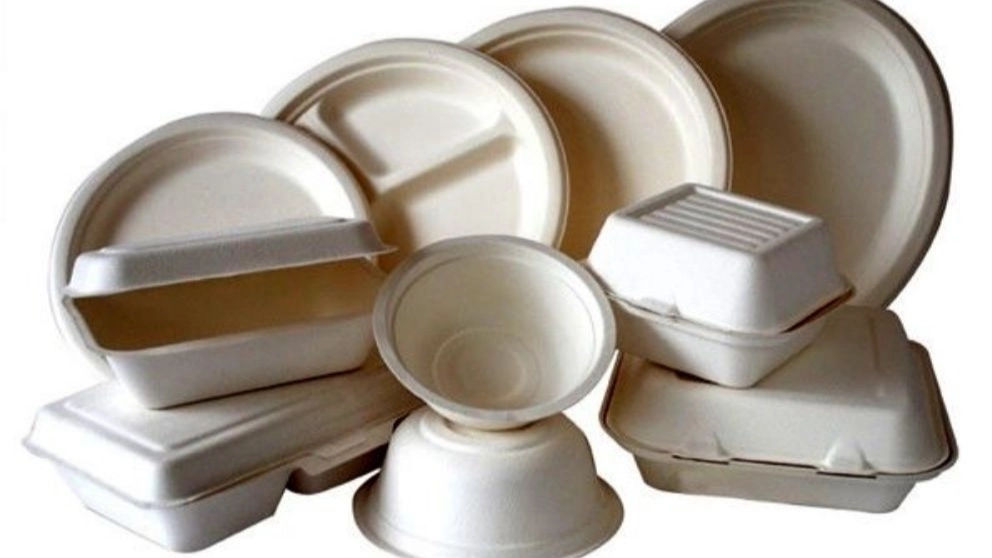12 recommendations in using disposable containers