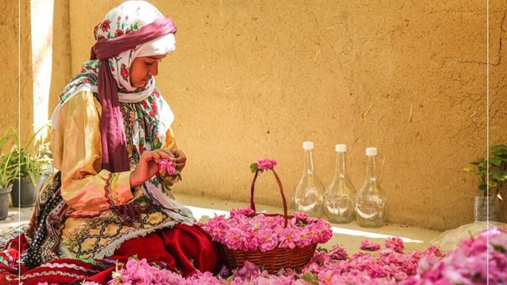 چگونگی تشخیص گلاب اصل از تقلبی