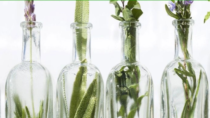 Herbal extracts and their benefits