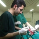 Dr. Peyman Rahimnejad's veterinary medicine in Saqqez