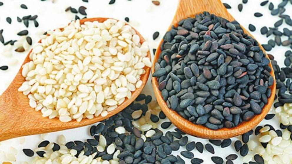 Pirnia trading and distribution, sale of seeds and vegetable oils in Tehran
