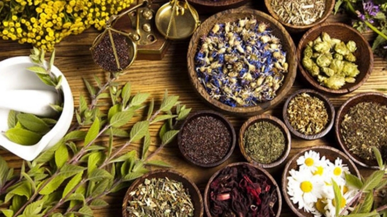 List of the most used herbal medicines
