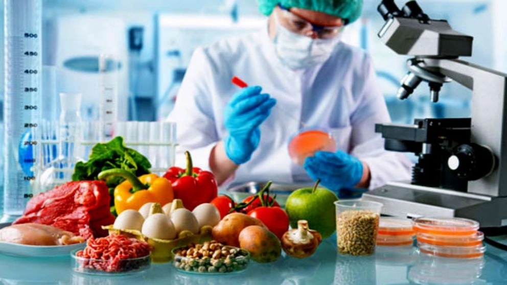 متخصص تغذیه کیست؟