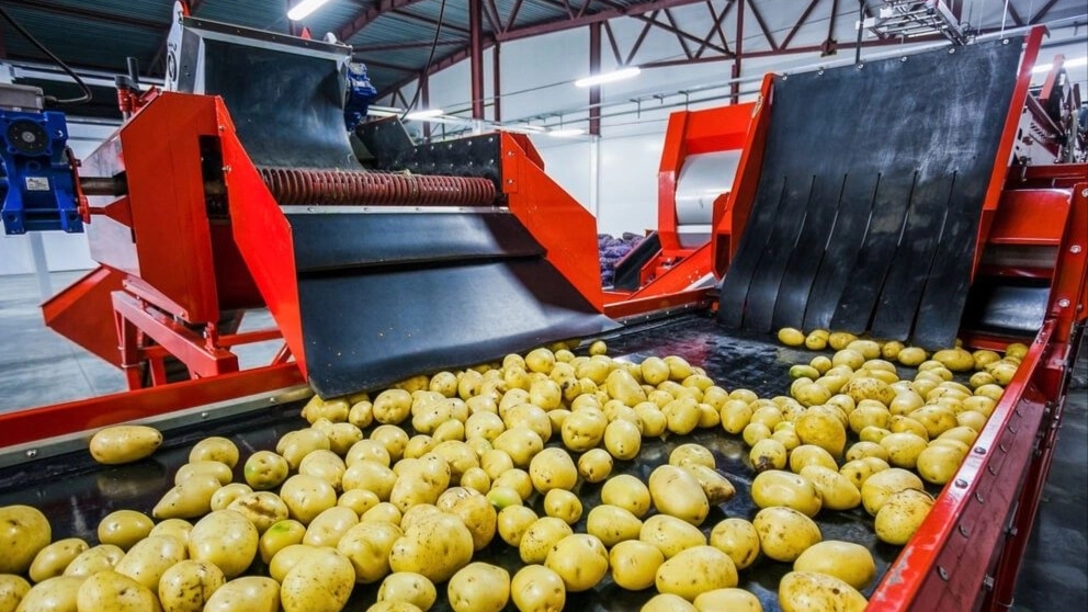 What is a sorting machine?