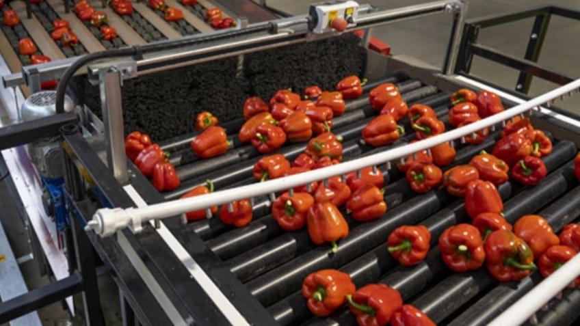 Why is product sorting important?