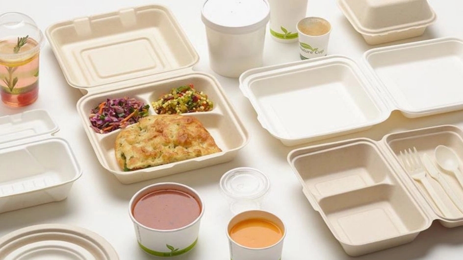 Types of disposable containers and hygiene tips in using them