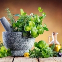 Sale and distribution of medicinal plants of Seyed Ali Mirzaei in Golestan