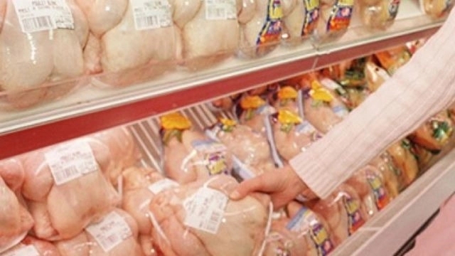 نکات کلیدی تشخیص مرغ سالم