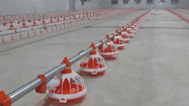 Poultry and greenhouse equipment of modern industry in Qazvin