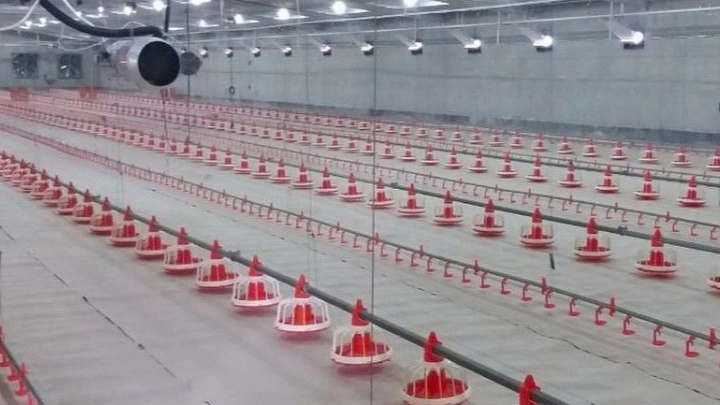 Equipment needed for poultry halls