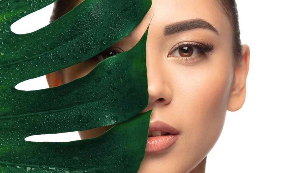 Features of the clinic providing all kinds of beauty services