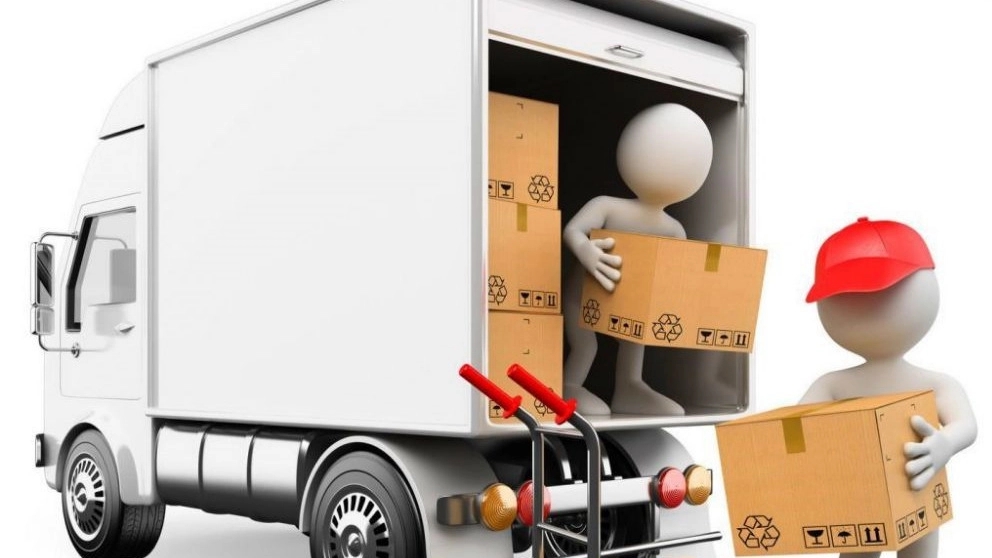 How to choose a professional carrier?