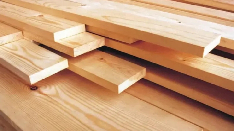 Important points before buying Russian wood