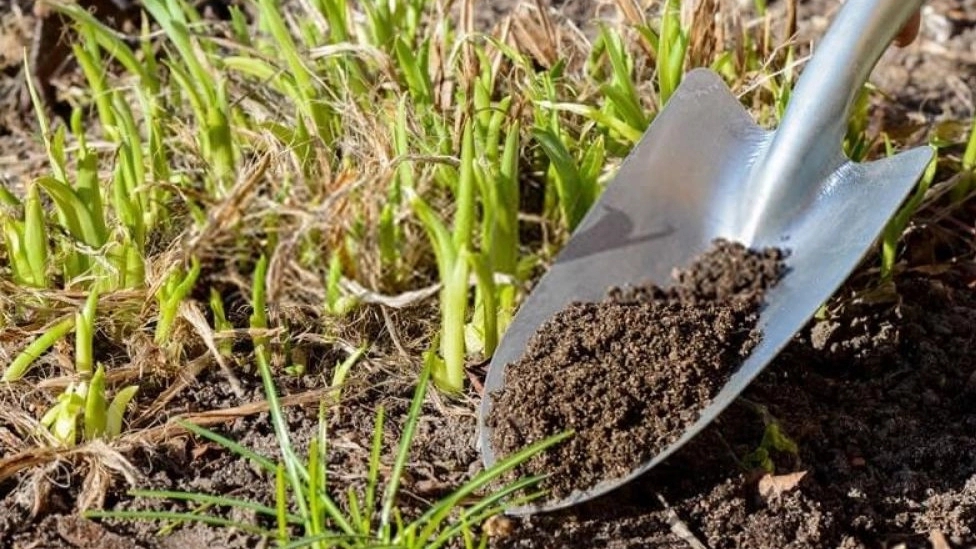 All kinds of organic fertilizers and pesticides