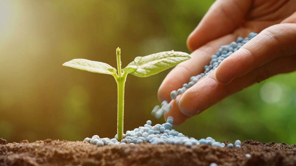 الأسمدة والمبيدات الزراعية الأكثر مبيعا