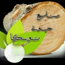 Alder wood industry, production and sale of Russian and Iranian wood in Mashhad