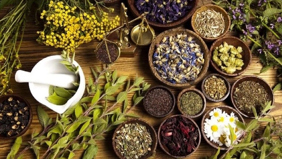 Abstract of the article, the role of medicinal plants and traditional medicine in the development of the tourism industry