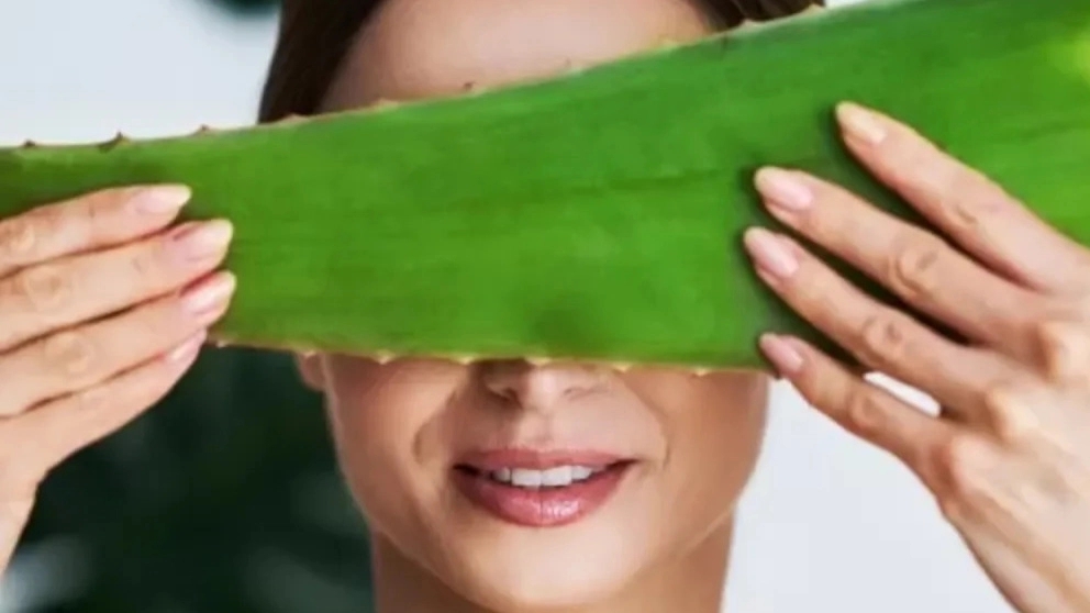 Aloe vera properties for the skin that work miracles