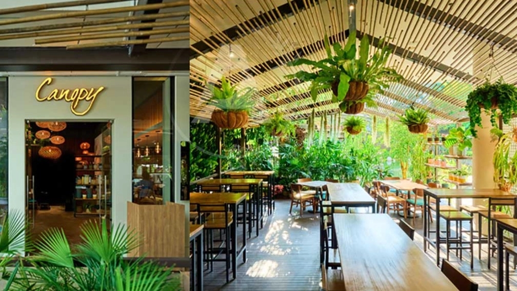 The green space of the restaurant with the best design
