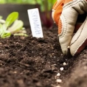 Green leaf medical herbal pharmacy, sale of pesticides, fertilizers, seeds and agricultural tools in Arak