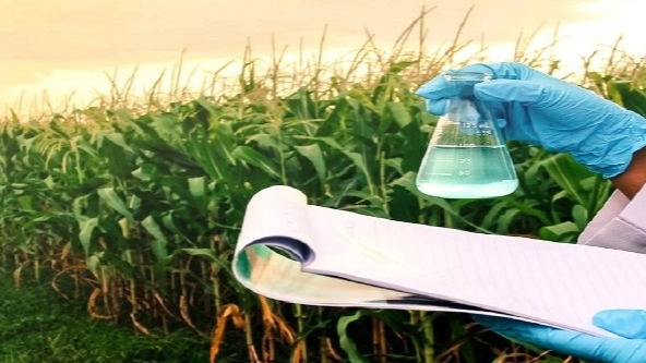 Green leaf medical herbal pharmacy, sale of pesticides, fertilizers, seeds and agricultural tools in Arak