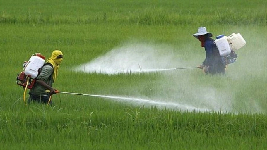 Familiarity with types of agricultural pesticides and their use