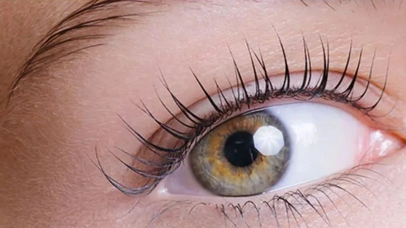 Eyelash and eyebrow lift and laminate