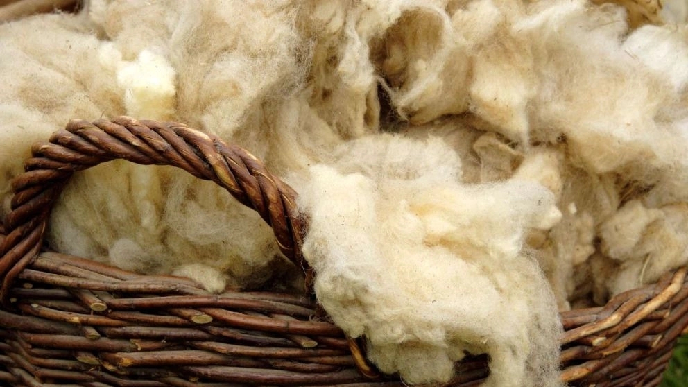 What are wool fibers and what are their uses?