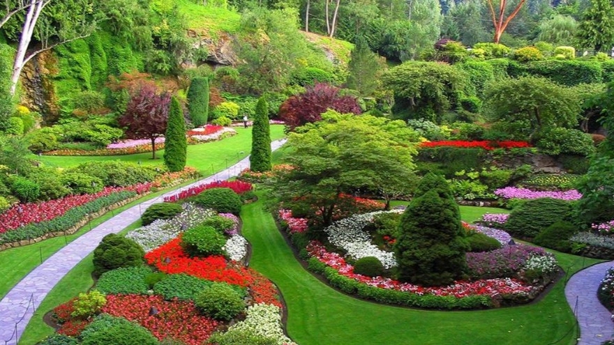 Razaghi flowers and seedlings, design and implementation of the green space of the villa and garden in Lahijan, Gilan