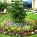 Razaghi flowers and seedlings, design and implementation of the green space of the villa and garden in Lahijan, Gilan
