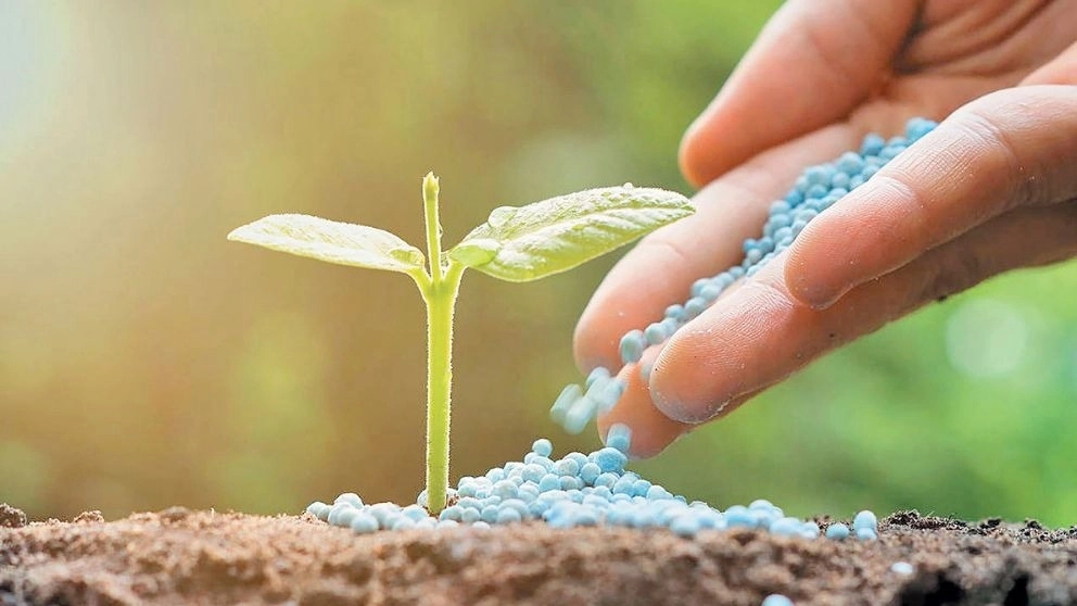 Agricultural products of Hajzadeh, sale of fertilizers and poisons in Parsaban, Moghan