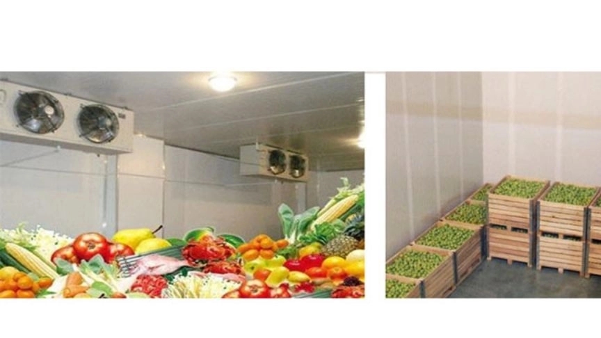 Advantages of using cold storage for fruit and vegetable storage
