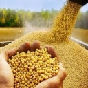 Livestock and poultry feed, Valipur, West Azarbaijan