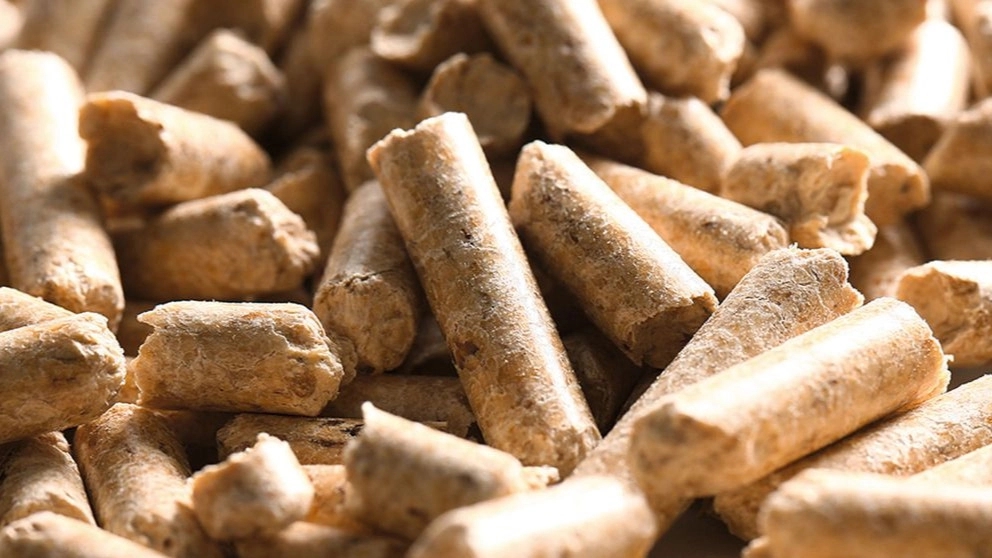 What is animal and poultry feed?