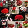 Flower shop and flower arranging in Mashhad, Khorasan, Razavi