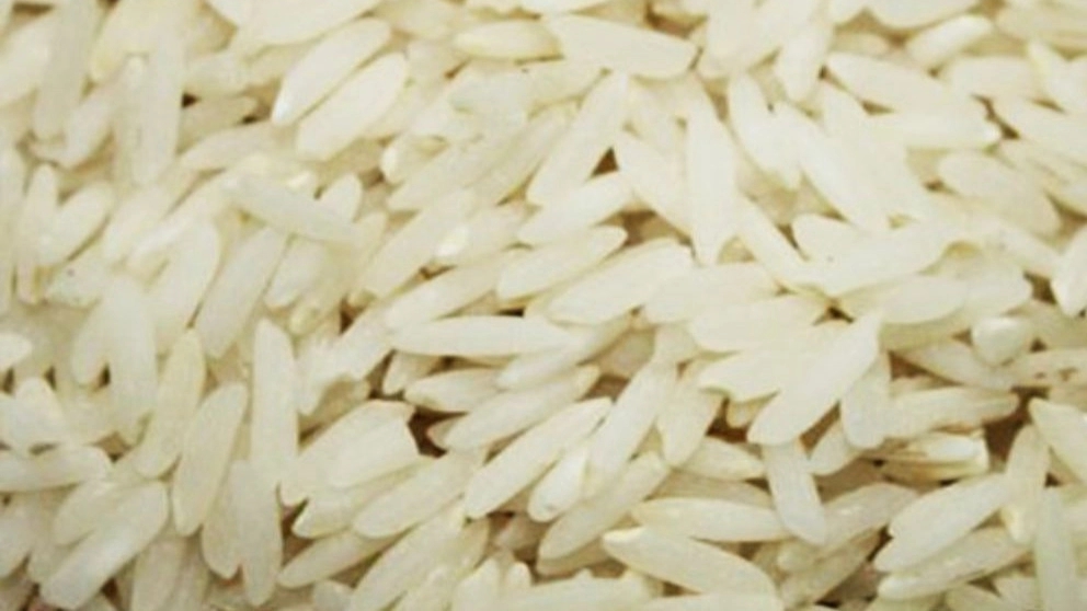 Sale of beans and rice by Kam Firoz Akbari in Shahin Shahr, Isfahan