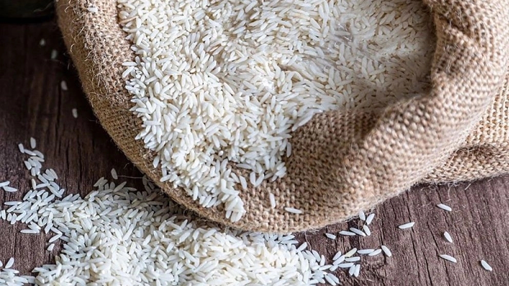 Getting to know the types of Iranian rice