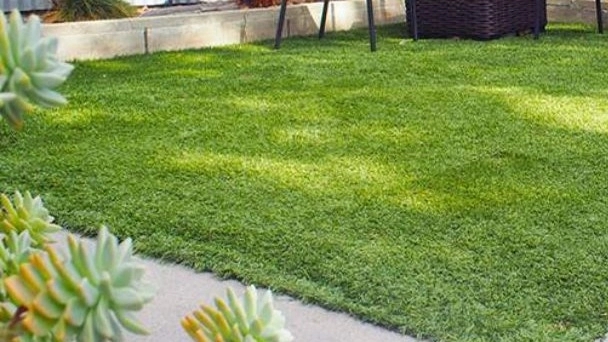 Types of artificial grass