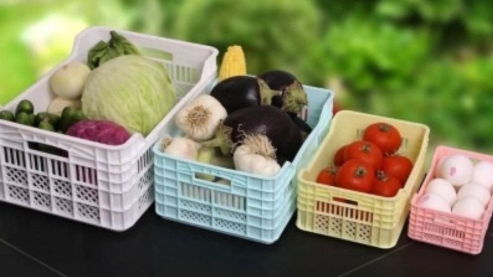 Farazmand production group, production of garlic basket and export fruit basket in Hamedan