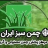 Chaman Sabz Iran, distribution of artificial grass in Rabat Karim