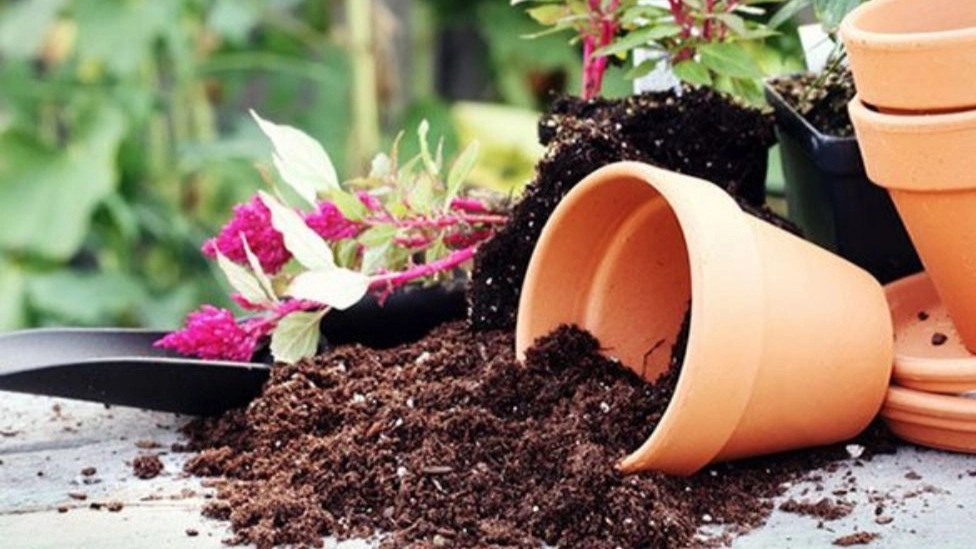 The difference between garden soil and pot soil