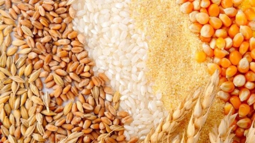 Agricultural products of Yar Ahmadi, sale of fodder corn, wheat, rice in Lorestan, Durood