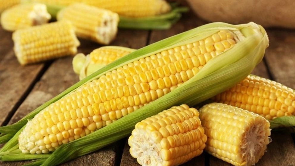 Getting to know the properties of corn