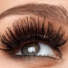 Nora Extension, production and sale of eyelashes in Isfahan