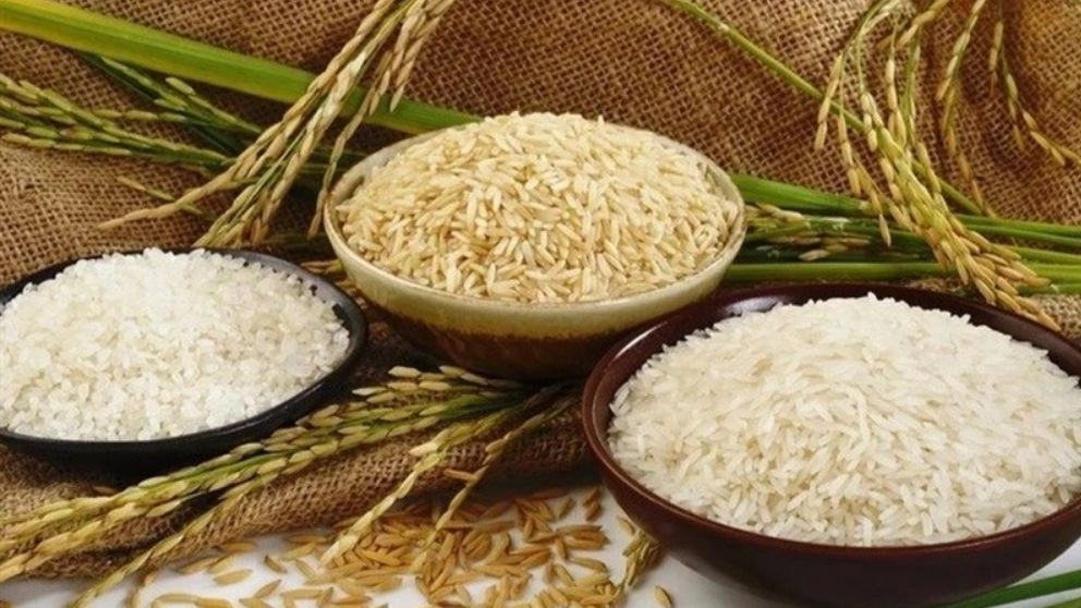 Hashemi brothers rice and tea, selling rice and tea in Gilan