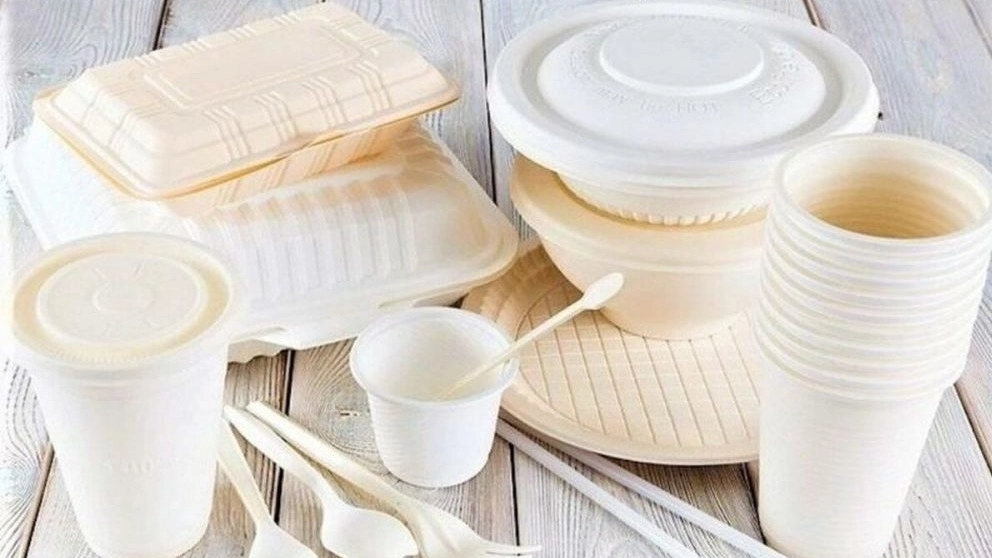 همه چیز درباره ظروف یکبار مصرف