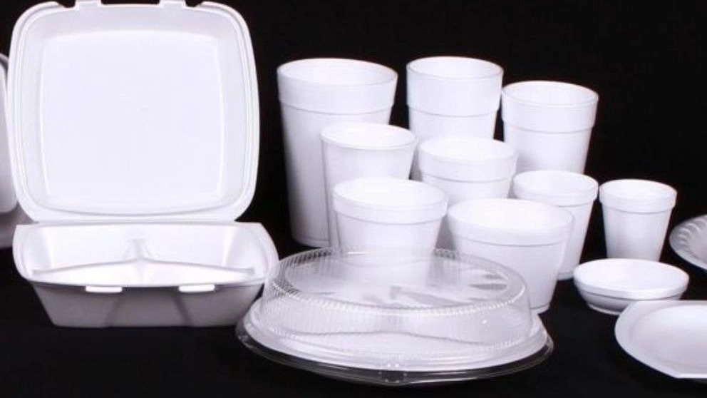 All about disposable containers