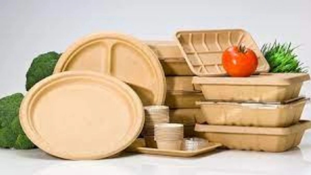 All kinds of disposable containers