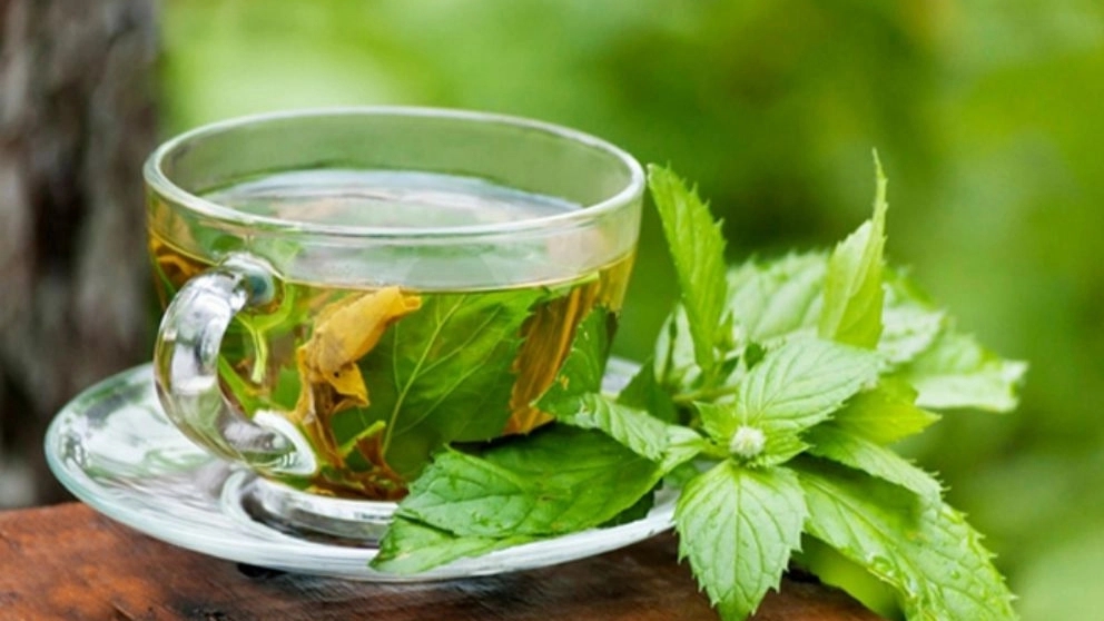 Introduction of tea types